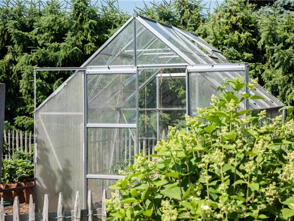 Ob groß oder klein: Gewächshäuser bereichern jeden Garten Ob groß oder klein: Gewächshäuser bereichern jeden Garten